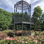 Columbus Park of Roses