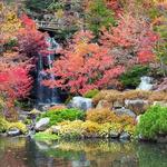 Anderson Japanese Gardens