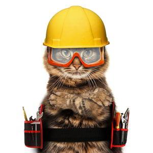 House Renovation Fund