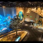 Perot Museum of Nature and Science
