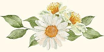 The Wedding Website of Jacob Bixby and Naomi Frohloff