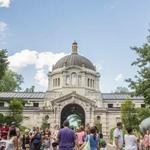 The Bronx Zoo