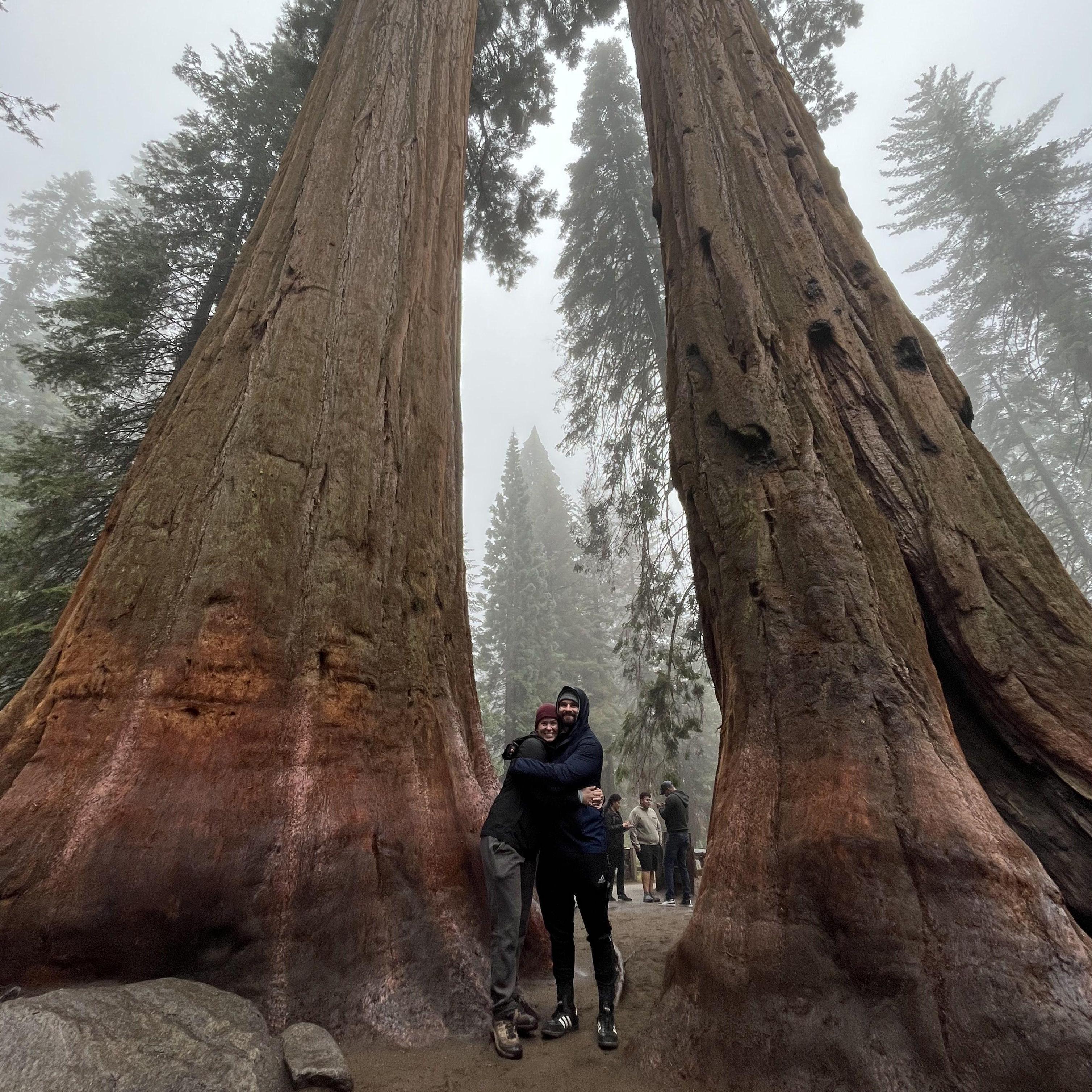 Sequoia National Park 2023