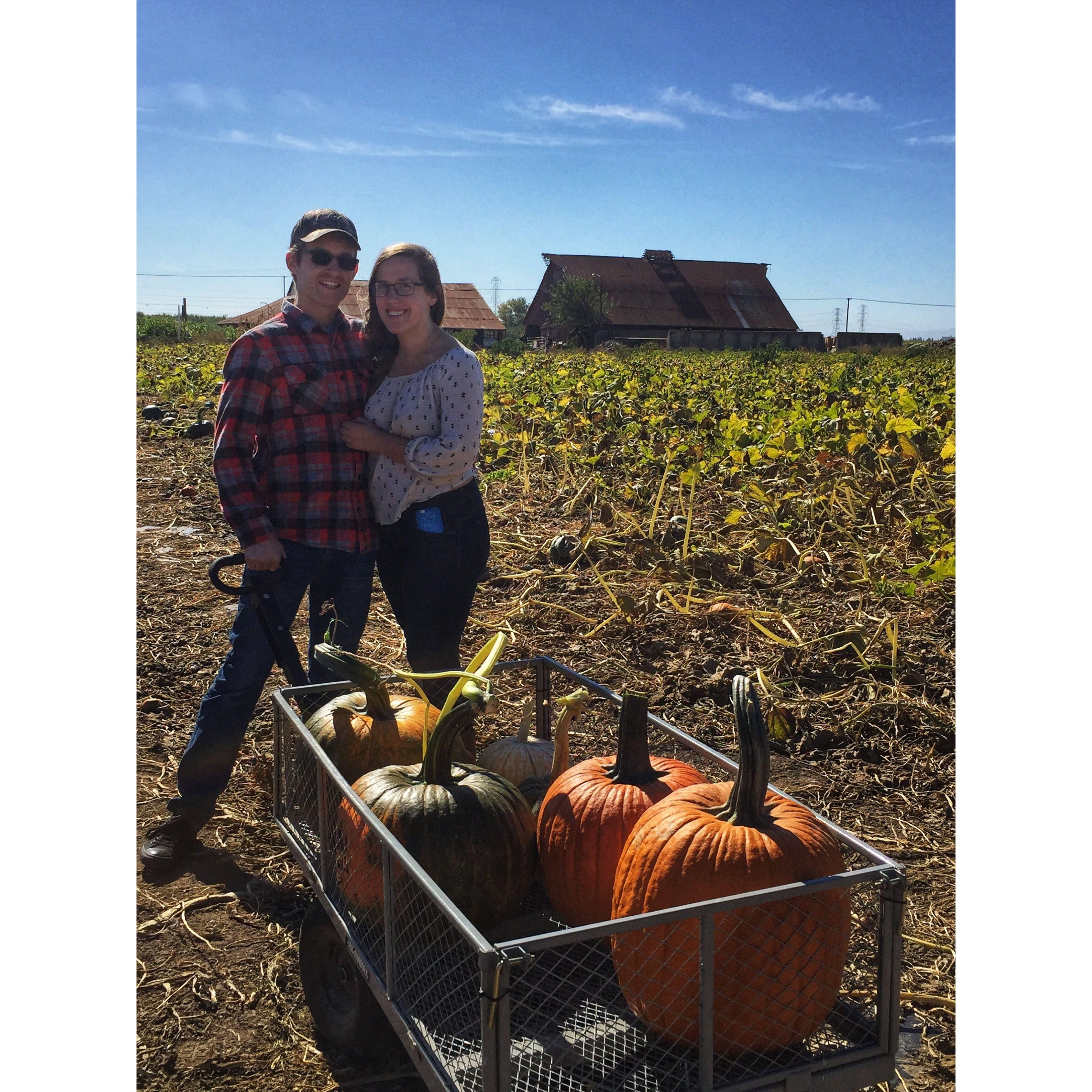 Our first time picking pumpkins at the pumpkin patch!