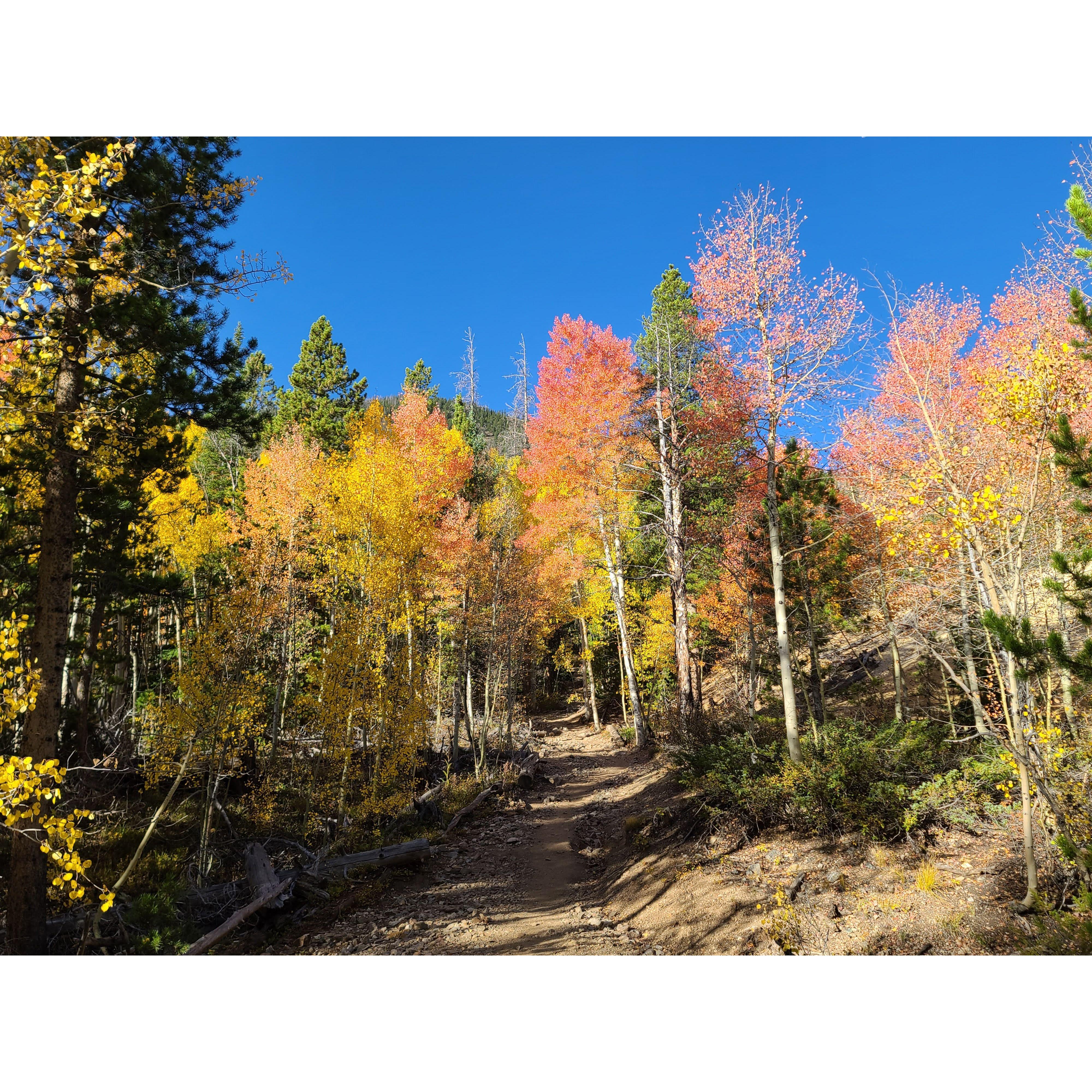 Fall Foliage Hike