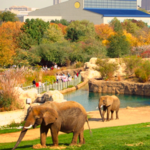 Indianapolis Zoo
