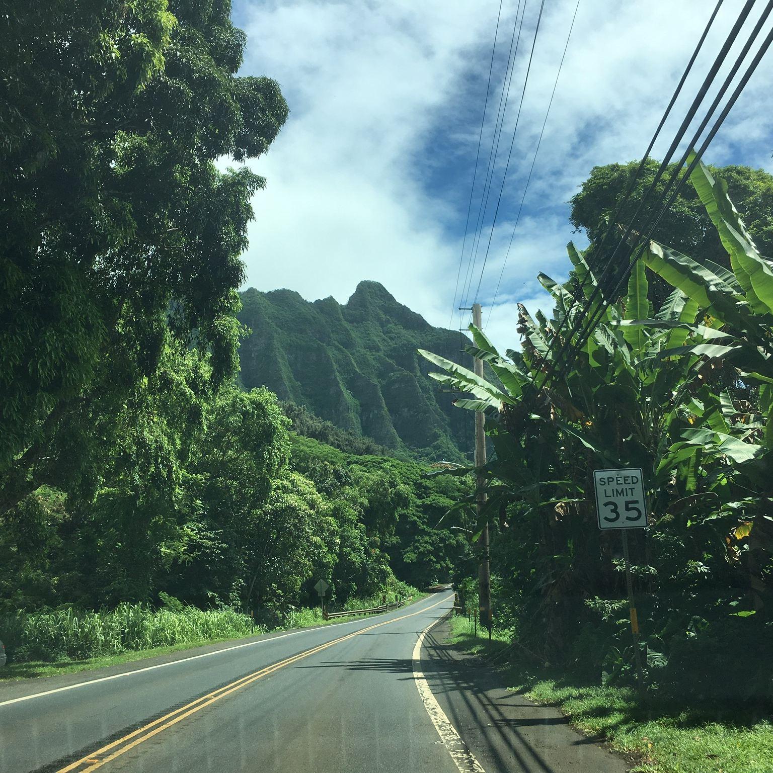 We made the most of Maize's work trip to Hawai'i with Aboriginal Territories in Cyberspace a few years ago, driving the whole Kamehameha Hwy in Oahu. We stopped for burritos and the beach on the way!