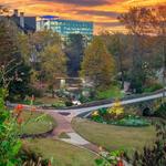 Falls Park on the Reedy