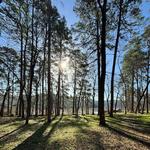 Huntsville State Park