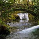 Whatcom Falls Park