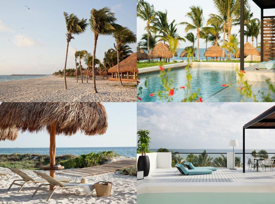 The Wedding Website of Steven Mclaurin and Paola Ruiz Mendoza