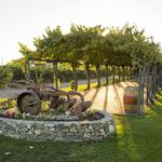 Livermore Valley