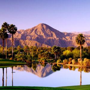 A Round of Post-Wedding Golf