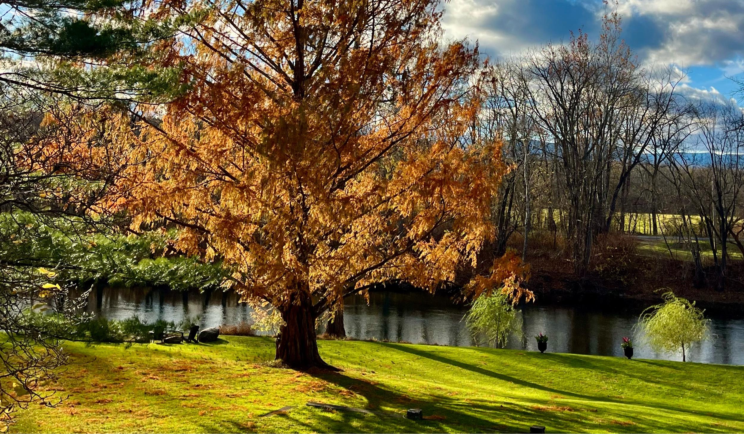 The Wedding Website of Jack Robarge and Nicole Stark