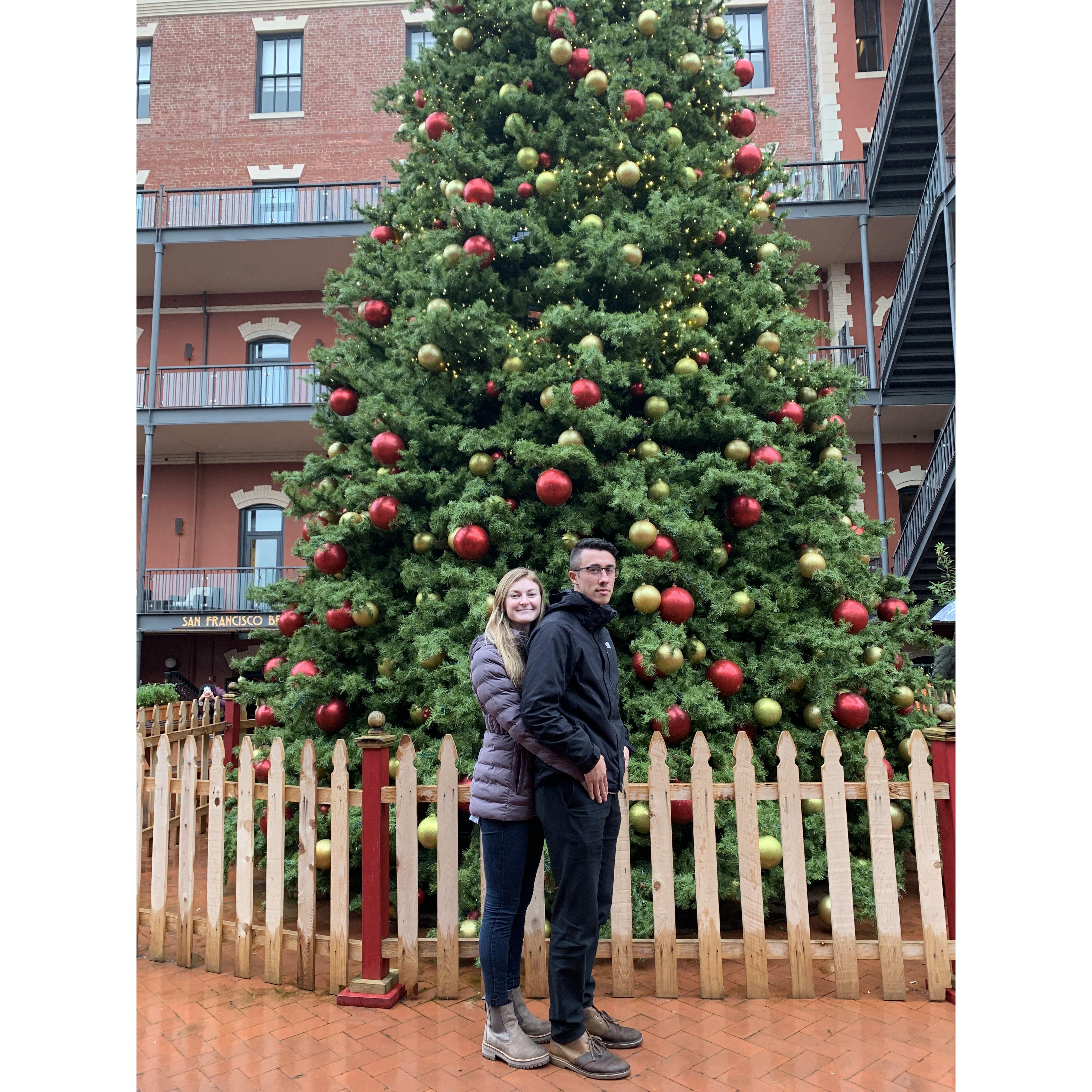 San Francisco at Christmas