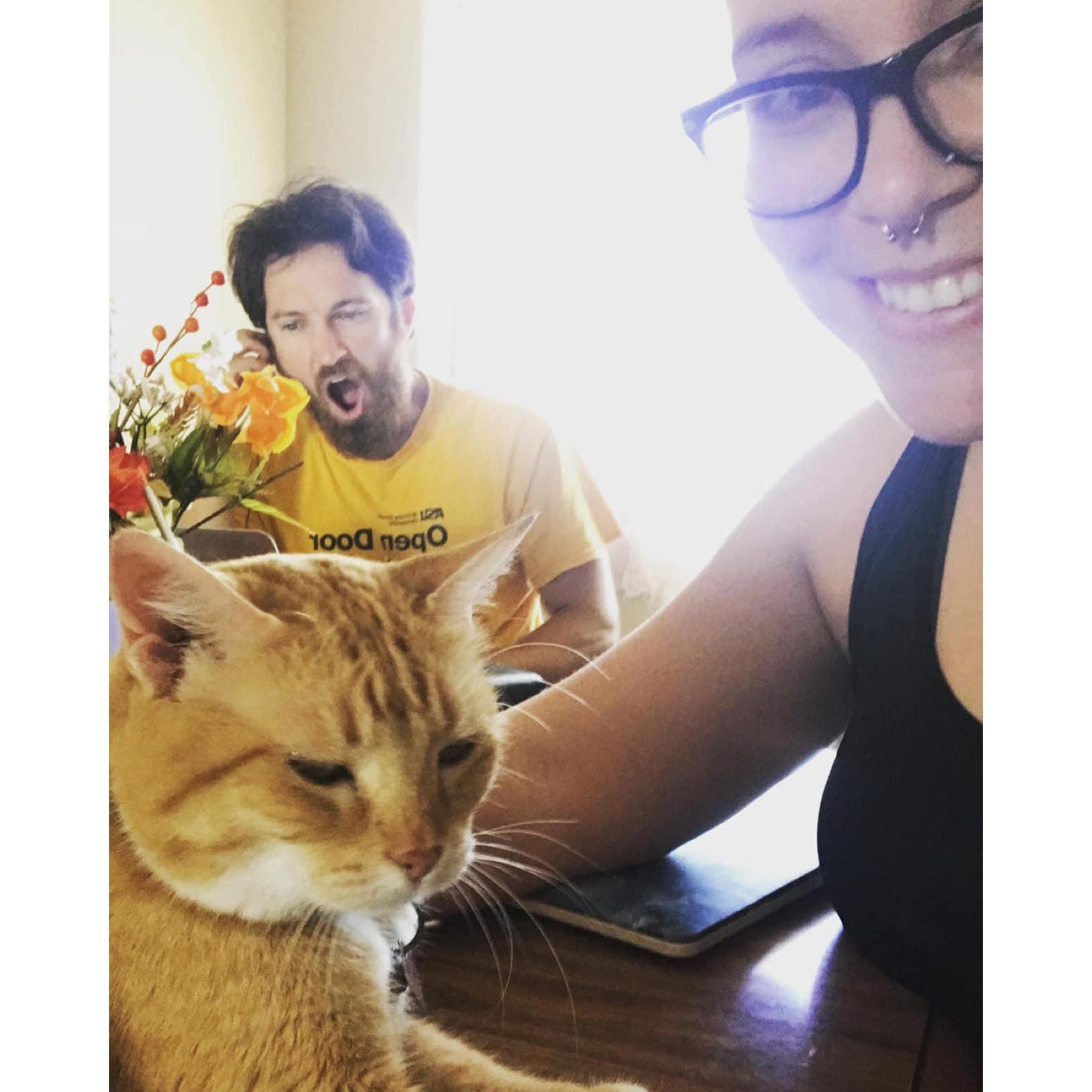 Quarantine Studying +bonus kitty - 2020