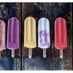 The Hyppo Gourmet Ice Pops