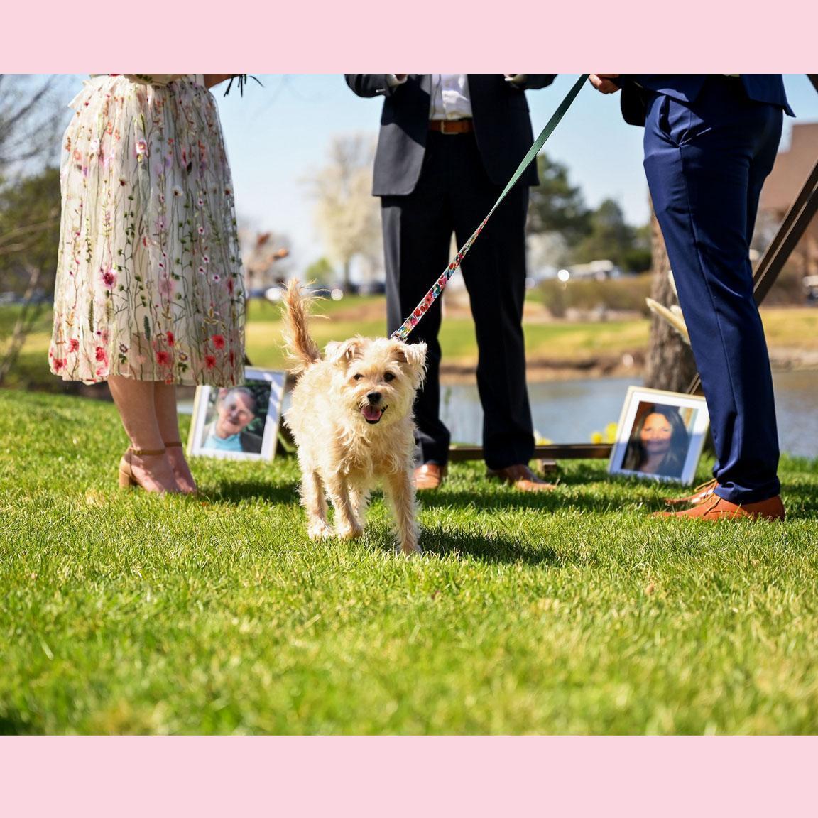 Technically, because the ceremony occurred in Kansas, Ollie could have served as officiant but Laura was firmly told no when she suggested this.