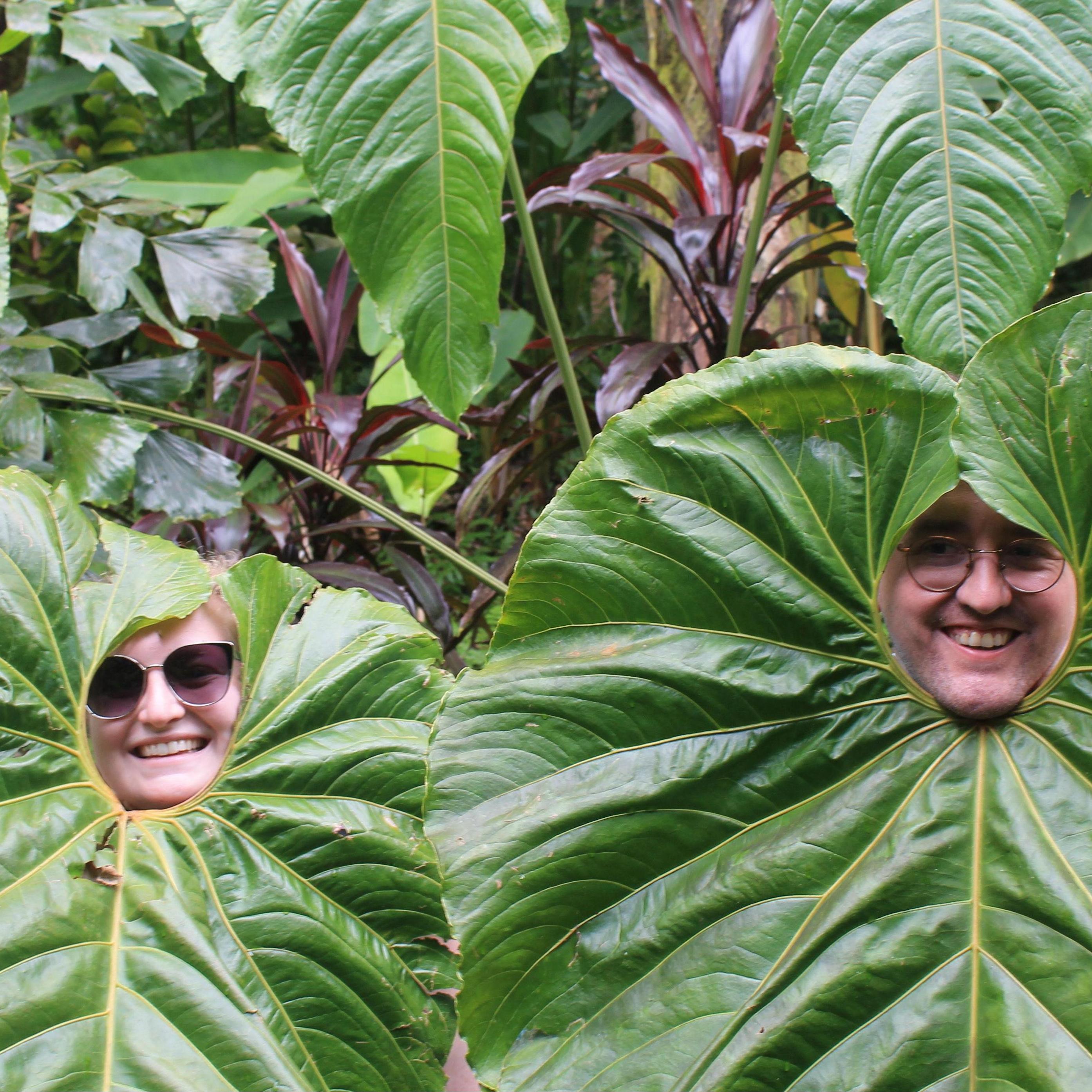 It's easy to love this leaf