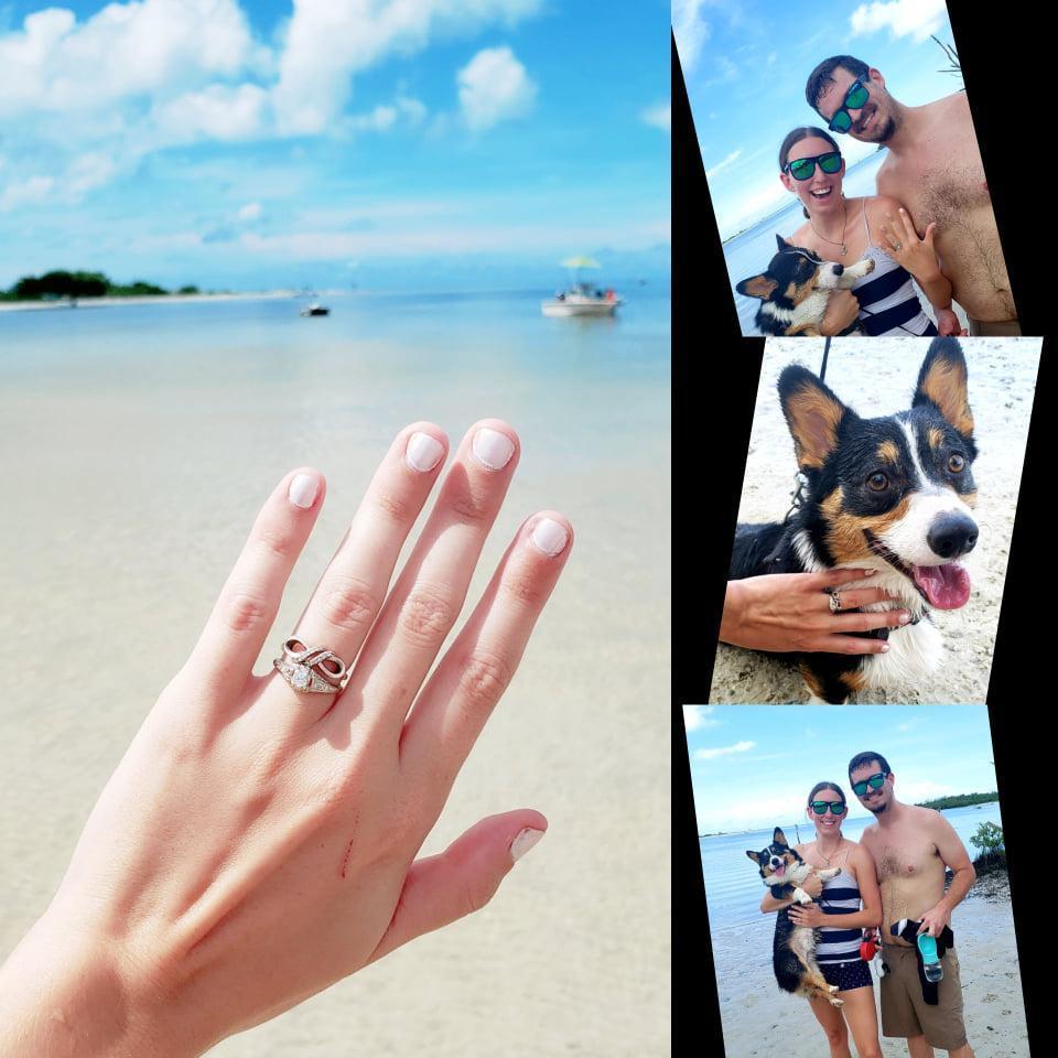 Bear's first time playing in the ocean. I yelled at Jeff to let Bear swim while he was proposing LOL!
Doggie Beach. Lovers Key, FL 9.11.20