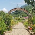 Lake Lure Flowering Bridge