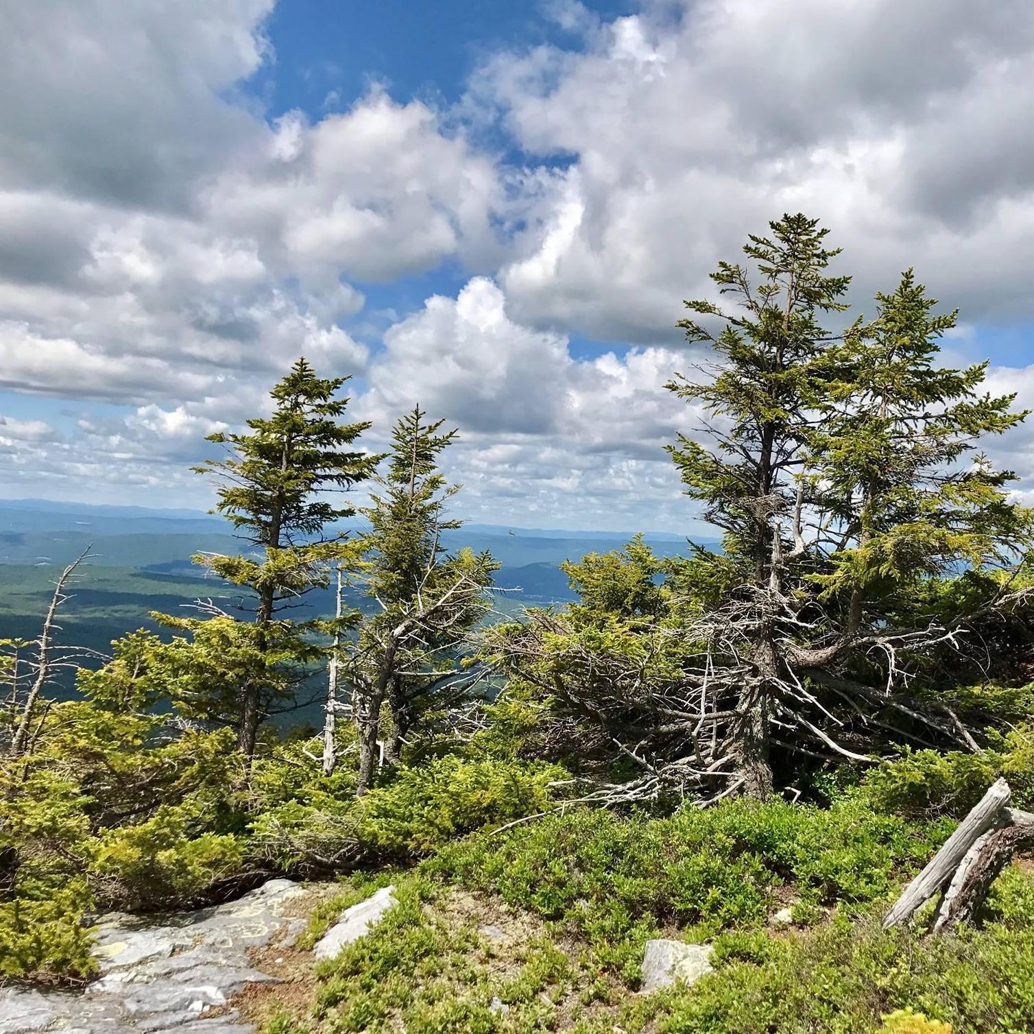 Mt Cube, NH
