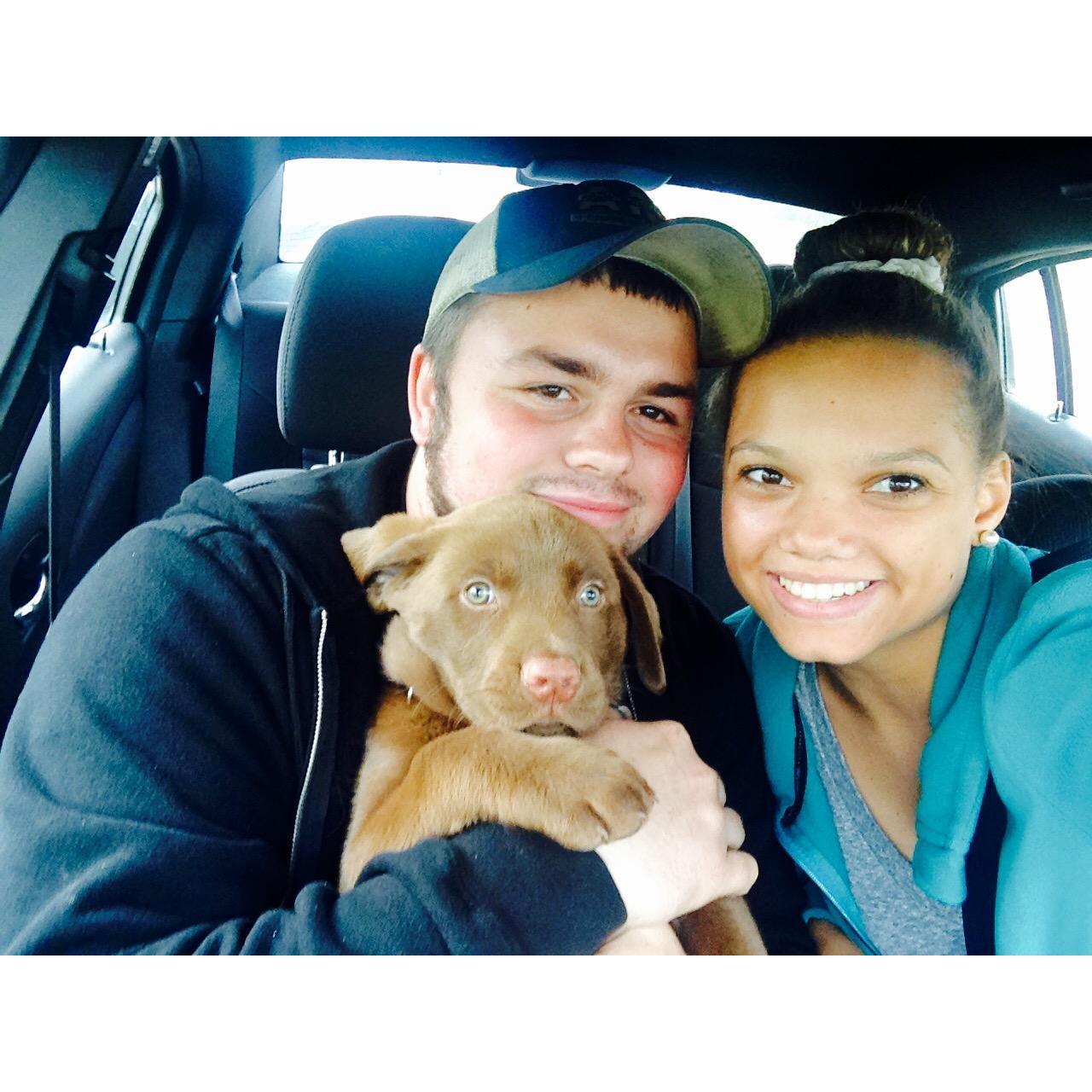Dog owners together
