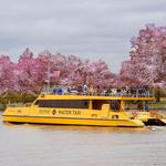 Wharf Water Taxi