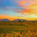 10 Things To Do In Temecula