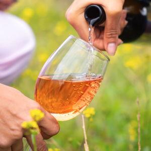 Guided Tour and Canarian Wine Tasting and at Bodega de los Lirios