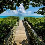 Visit the beach from any access down Beach Road