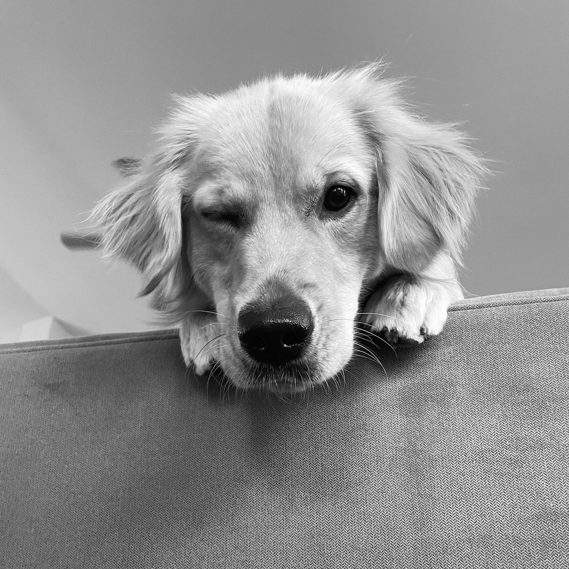 Olive with a wink ;)