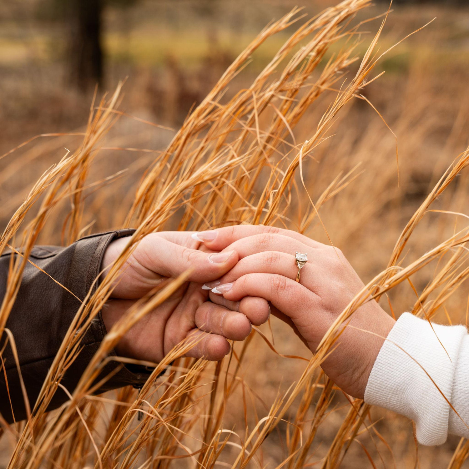 Engagment Photos :)