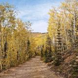 Aspen Vista Picnic Ground