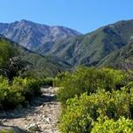North Etiwanda Preserve