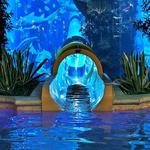 Golden Nugget Hotel shark tank water slide