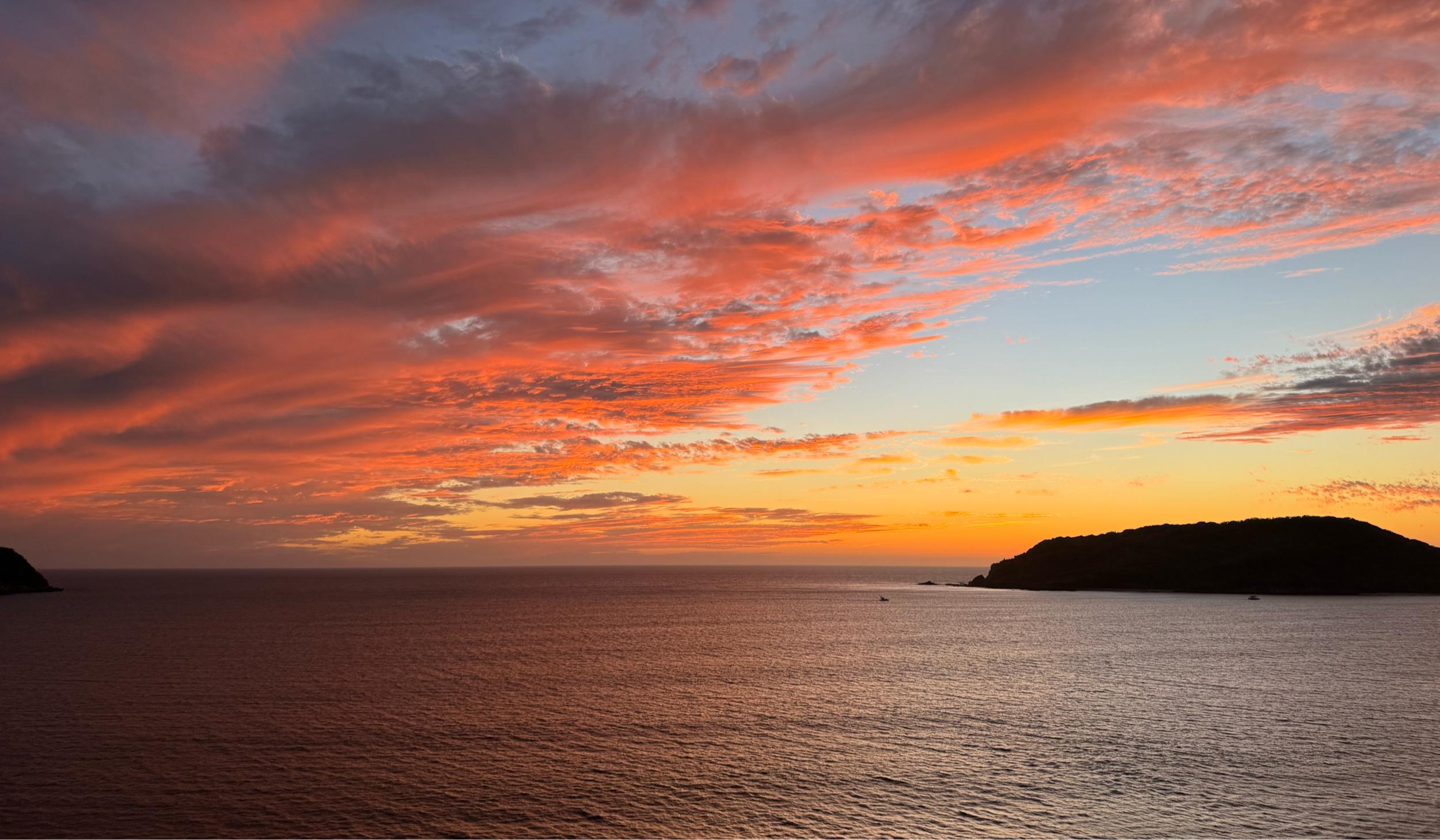 The Wedding Website of Joshua Turner and Sabrina Hamdan Shepard