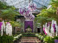 Longwood Gardens