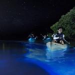 Bahía Bioluminiscente