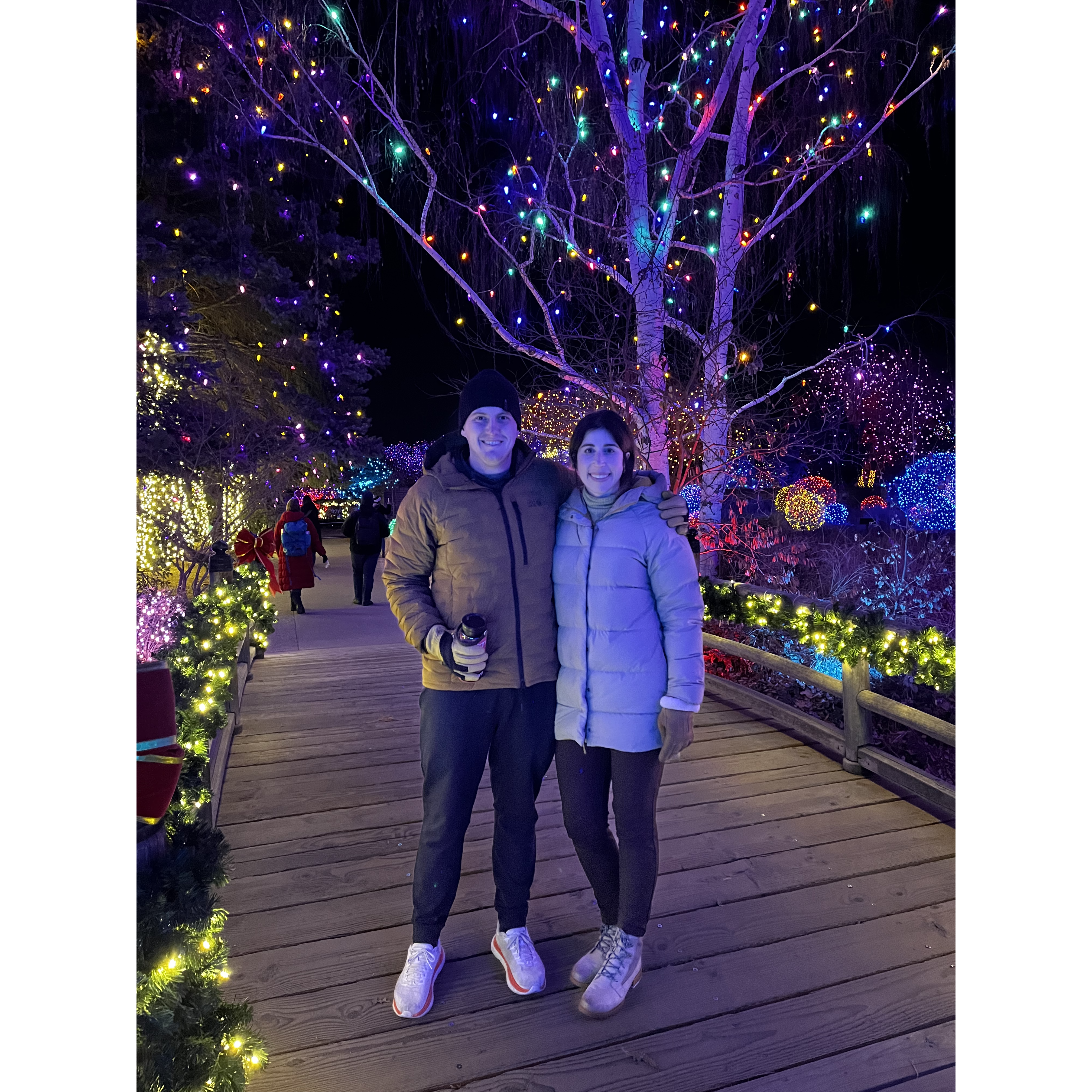 Blooms of light 2022