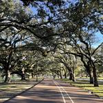 Audubon Park