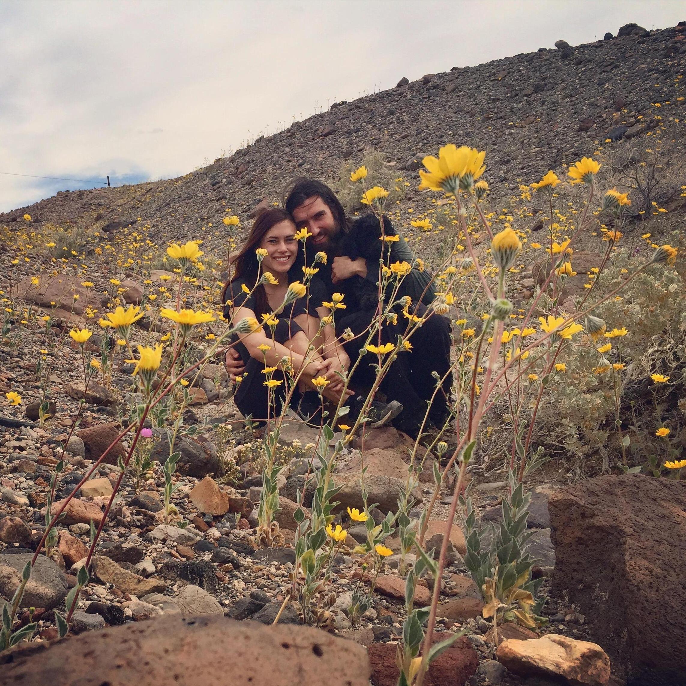 Super Bloom 2016 in Death Valley, California with our new puppy Zappa
