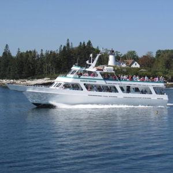 Whale Watching and Puffin Tour