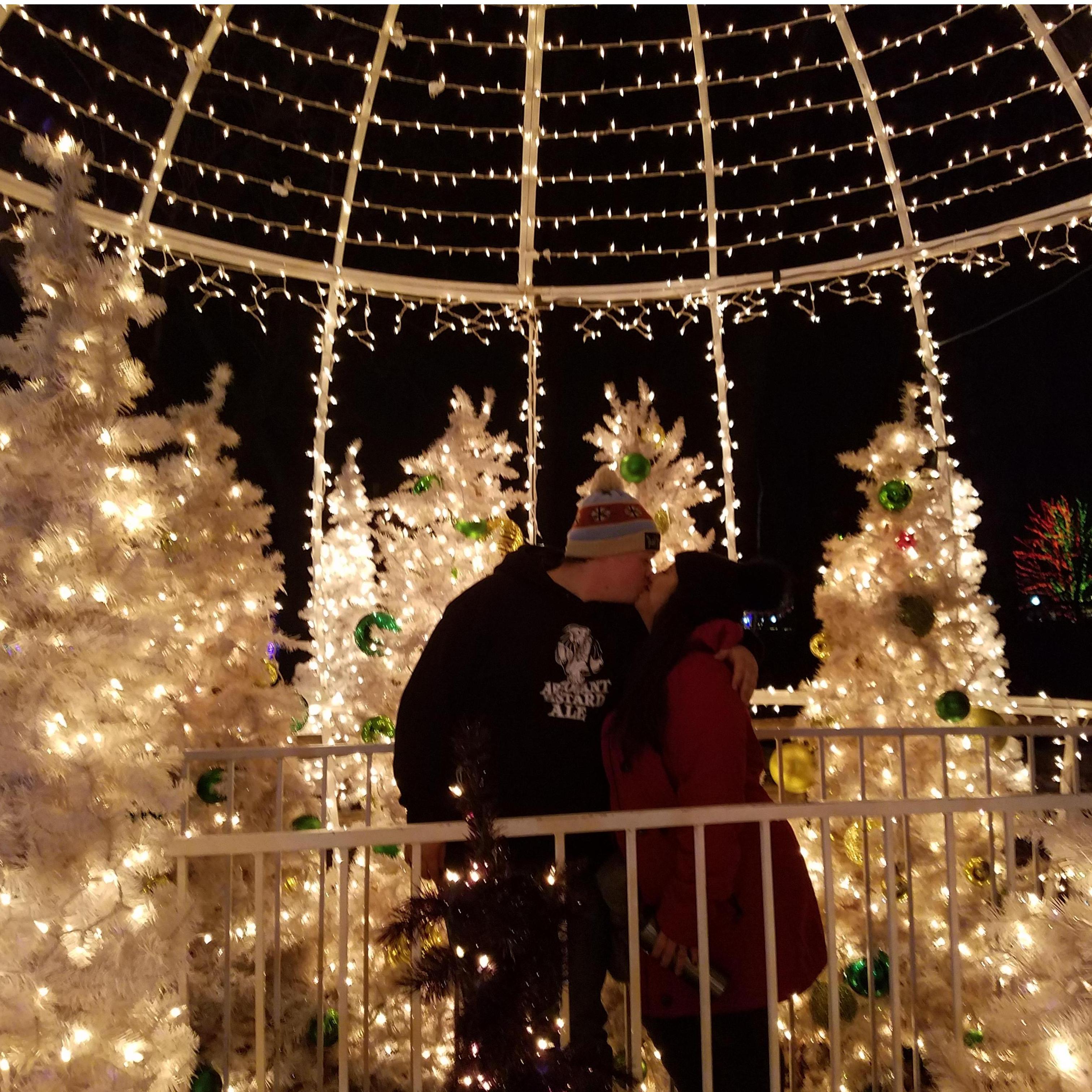 He always makes sure we get to see the Christmas lights at Lincoln Park Zoo.