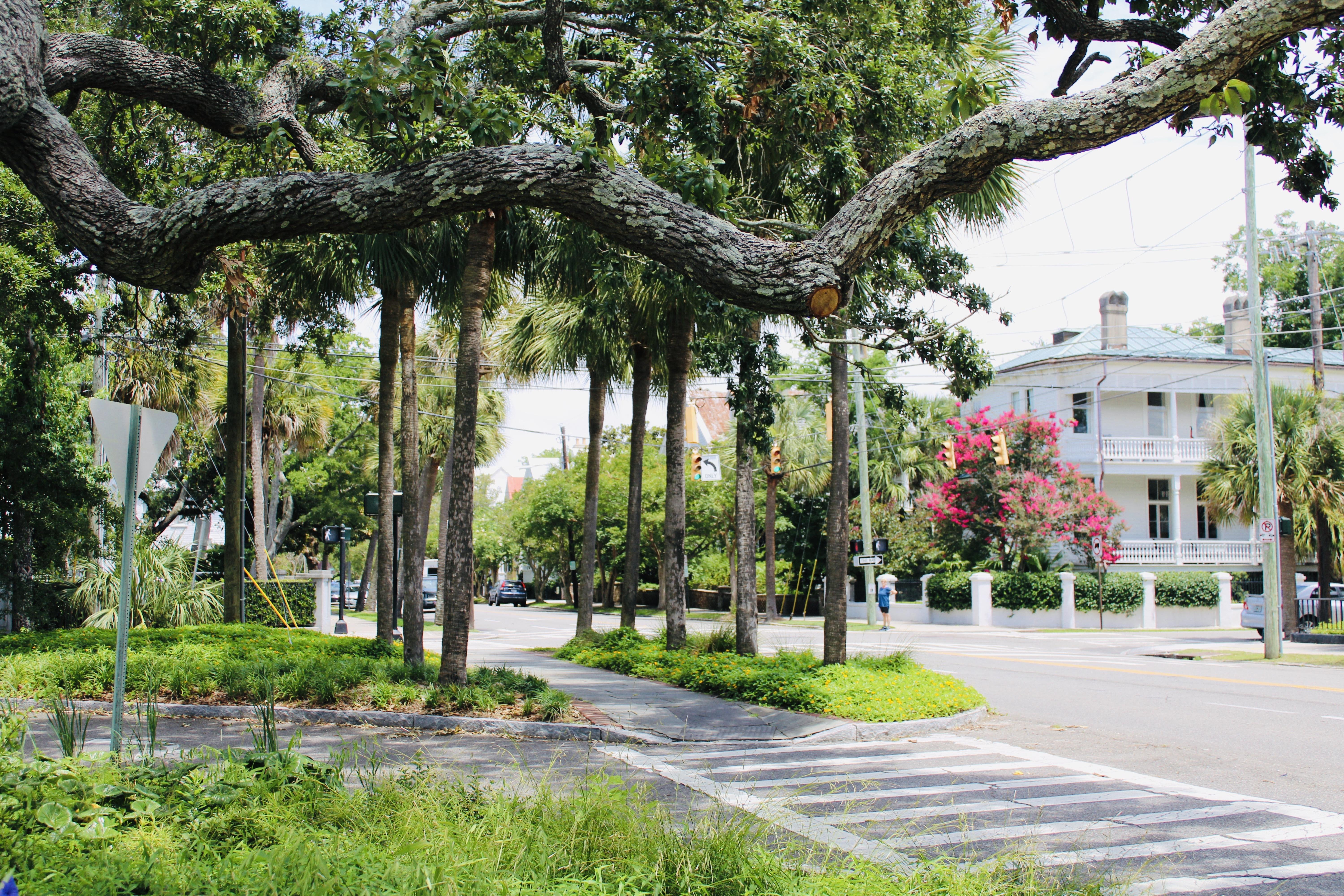 The Wedding Website of Samantha Therese and Alexander Dean