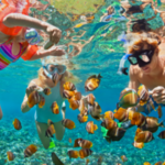 Snorkeling & Diving