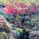 Portland Japanese Garden