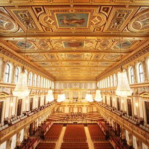 Live Orchestra at the Musikverein