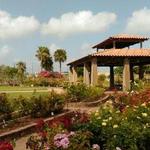 South Texas Botanical Gardens & Nature Center