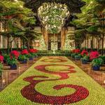 Longwood Gardens